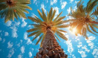 ai gegenereerd majestueus datum palmen bereiken naar de blauw lucht foto