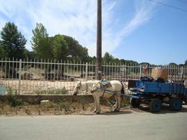 durres, albanië - 25 mei 2017 architectuur, landschap foto