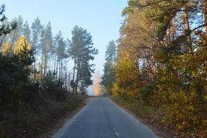 ochtendmist en nevel in het bos en dorp foto