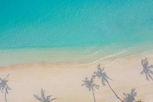 luchtparadijs landschap. tropisch luchtlandschap, zeegezicht met palmbladeren schaduwen verbazingwekkende zee en lagune strand, tropische natuur. exotische toeristische bestemming banner, zomervakantie foto