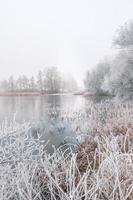 winterbos aan de rivier bij zonsondergang. panoramisch landschap met besneeuwde bomen, zon, prachtige bevroren rivier met reflectie in water. seizoensgebonden. winter bomen, meer en blauwe lucht. ijzige besneeuwde rivier. het weer foto