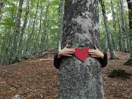 vrouw knuffelt boom met hart in de hand foto