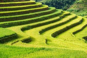 rijst- veld- terras Aan heuvel in platteland Bij mu cang chai foto