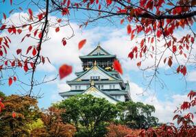 Osaka kasteel met herfst gebladerte gedekt in Japan foto