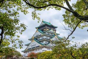 Osaka kasteel architectuur mijlpaal met groen boom Hoes foto