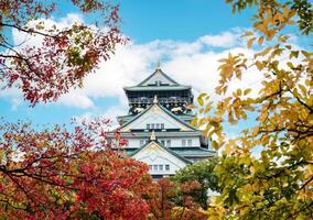 Osaka kasteel met herfst gebladerte gedekt in Japan foto