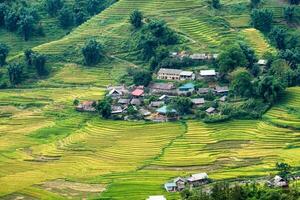 tavan dorp Aan rijst- veld- terrasvormig in vallei berg Bij sapa foto