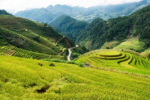 gezichtspunt van rijst- veld- Aan terrasvormig mijlpaal van mu cang chai foto