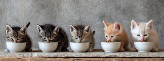 ai gegenereerd zes klein kittens eten voedsel uit van een kom foto