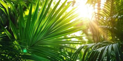 ai gegenereerd glimmend zonlicht in een idyllisch groen palm tuin, tropisch vegetatie achtergrond banier met kopiëren ruimte voor reis, vakantie en vakantie foto