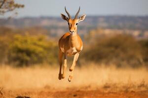 ai gegenereerd een antilope jumping in de lucht foto