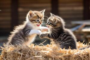 ai gegenereerd paar- van speels kittens spelen in de tuin foto