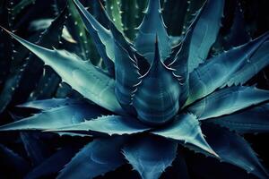 ai gegenereerd donker blauw afgezwakt abstract achtergrond met een agave cactus foto