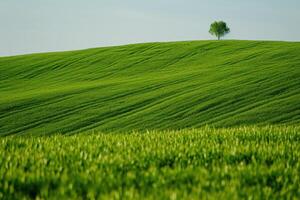 ai gegenereerd een groot gras veld- foto