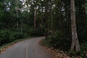 gebogen bergop pad van asfalt weg. beide zijden van de weg zijn gevulde met hoog bomen en bamboe bossen. Bij chae zoon nationaal park Thailand. foto