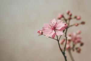 ai gegenereerd een klein single roze bloem is reeks tegen een beige achtergrond foto