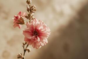 ai gegenereerd een klein single roze bloem is reeks tegen een beige achtergrond foto