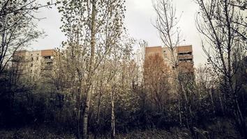 pripyat, oekraïne, 2021 - gebouwen in bos in Tsjernobyl foto