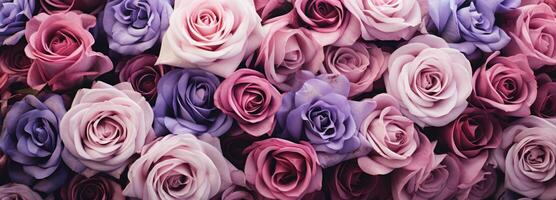 ai gegenereerd een dichtbij omhoog van veel rozen tonen verschillend kleuren foto
