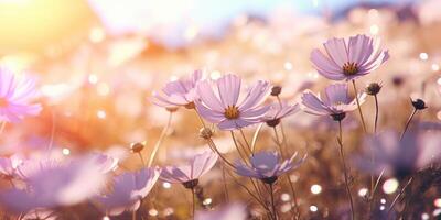 ai gegenereerd een veld- van geel en wit bloemen met zon stralen in achtergrond foto