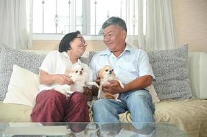 oudere vrouwen en mannen lachen vrolijk op de bank met honden. foto