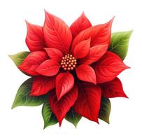 ai gegenereerd kerstster bloem ID kaart Aan wit achtergrond foto