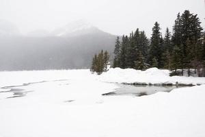 prachtig winterlandschap met een bevroren meer en pijnbomen. een bos en bergen op de achtergrond. banff nationaal park, canada foto