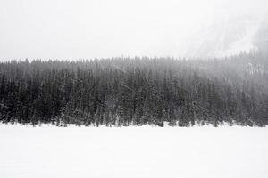 prachtig winterlandschap. een zware sneeuwstorm over een bos. banff nationaal park, canada foto