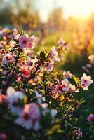 ai gegenereerd ochtend- achtergrond met bloeiend bloemen, zacht zonlicht foto