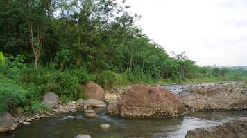 uitzicht op de rivier in het land van Azië. een van de hoeken van de rivier in Indonesië foto