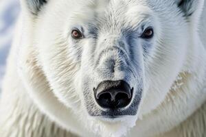 ai gegenereerd polair beer in de arctisch leefgebied generatief ai foto