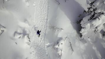 top visie van Mens wandelen in bergen in winter Woud. klem. Mens gaat Aan winter wandeltocht in bergen. Mens wandelingen alleen bergop in winter in Woud foto