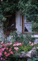 een houten bank met bloemen in voorkant van een huis foto