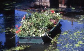 een boot gevulde met bloemen foto