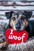 ai gegenereerd puppy liefde hoektand genegenheid in Valentijnsdag harten foto