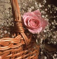 een mand met een roze roos in het foto