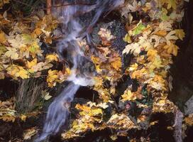 een waterval is vloeiende over- een rots foto