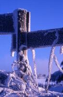 ijzig hek post in de sneeuw foto