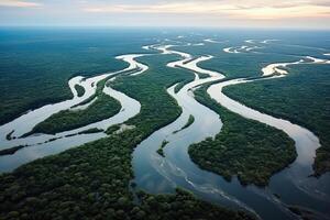 ai gegenereerd antenne visie van een meanderend rivier- in een tropisch regenwoud, Brazilië, ai gegenereerd foto