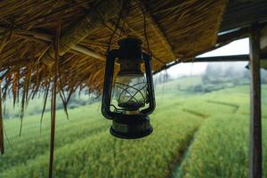 in een houten hut in een groen rijstveld foto