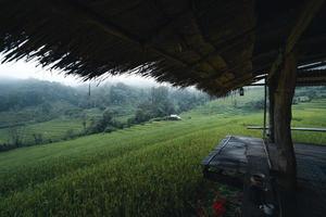 in een houten hut in een groen rijstveld foto