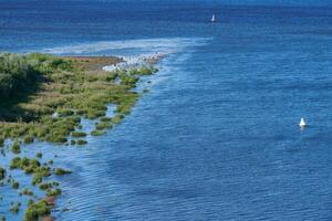 kust van zee eiland kant, antenne top visie. dicht groen oerwoud schiereiland, kopiëren ruimte. zuiver, schoon en kalmte blauw water. maagd natuur. foto