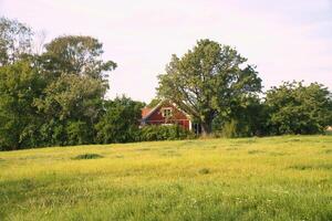 rood Zweeds huis omringd door bomen. in voorkant van het een groot weide met gras foto