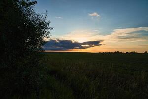 zonsondergang Bij de rand van een Woud grenzend een veld- in Zweden Aan de eiland van Oeland foto