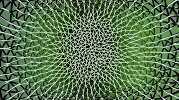 abstract visie binnen van een leven cel. ontwerp. doorsneden structuur met gebogen en verbonden lijnen creëren optisch illusie van vezels. foto