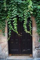 oude houten deur met veel groene planten in lindos, rhodos, griekenland foto