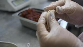 dichtbij omhoog vrouw handen maakt knoedels met fijngehakt vlees. klem. Koken snel en vakkundig knoedels met varkensvlees vlees. foto