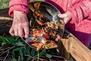 persoon wie zetten in een composteerder sommige keuken verspilling Leuk vinden groenten, fruit, eierschaal, koffie gronden in bestellen naar soort en maken bio kunstmest foto