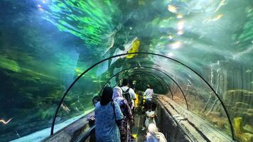 Jakarta, Indonesië - juli 8, 2022 bezoekers observeren vis in een groot aquarium Bij zeewereld, ancol. vis en koraal Leuk vinden leefgebied in de zee. foto