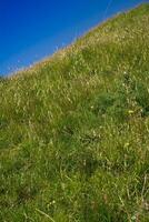 berg een helling van groen gras foto